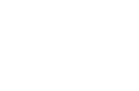 Salient